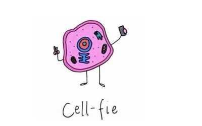 Cell-fie